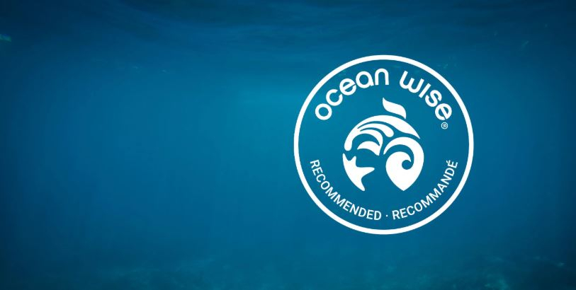 Ocean Wise logo on an underwater ocean background